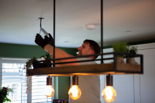 Best Local Electrician Companies  in Pleasant Ridge, MI