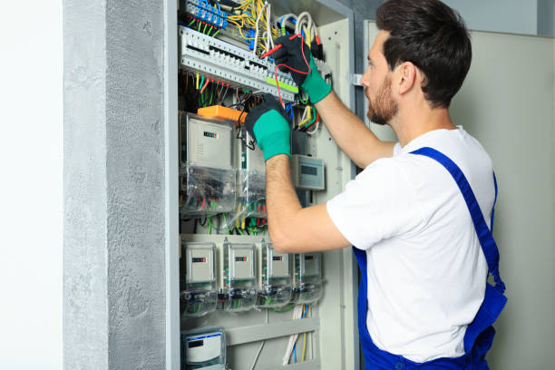 Best Electric Panel Repair  in Pleasant Ridge, MI