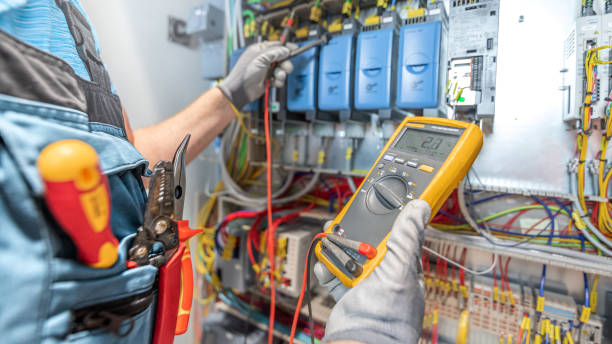Best Affordable Electrician  in Pleasant Ridge, MI