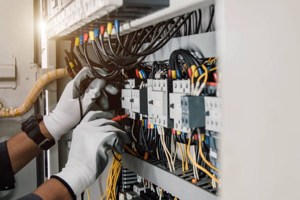 Best Affordable Electrician  in Pleasant Ridge, MI
